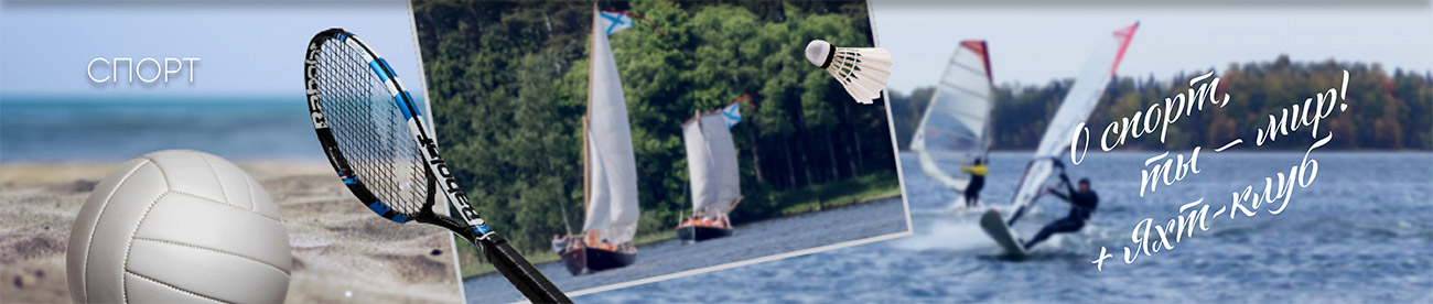 Спорт