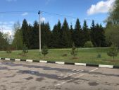 IMG 20200517 WA0024