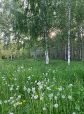 IMG 20200713 WA0034