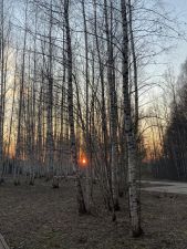 IMG 20200713 WA0039