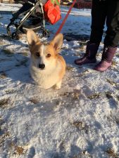 IMG 20200302 WA0032