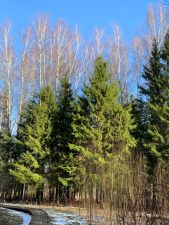 IMG 20200318 WA0012