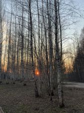 IMG 20200326 WA0006
