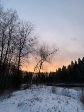 IMG 20200331 WA0048