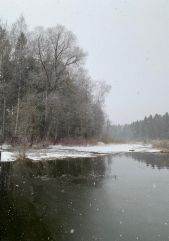 IMG 20200403 WA0008