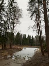 IMG 20200403 WA0010