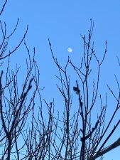 IMG 20200405 WA0081