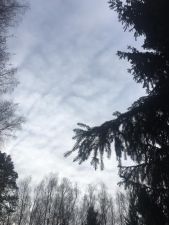 IMG 20200406 WA0009