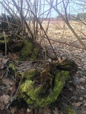 IMG 20200406 WA0010