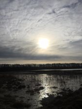 IMG 20200406 WA0012