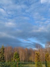 IMG 20200510 WA0011