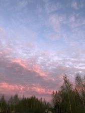 IMG 20200510 WA0023