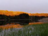 IMG 20200515 WA0017