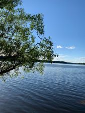 IMG 20200629 WA0018