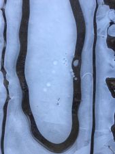 IMG 20191124 WA0016