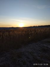 IMG 20191124 WA0022