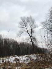 IMG 20191130 WA0013