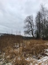IMG 20191130 WA0018