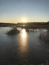 IMG 20191201 WA0006