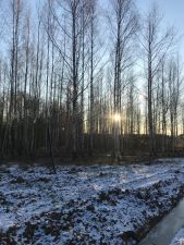 IMG 20191201 WA0010