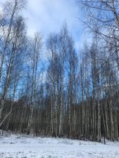 IMG 20200104 WA0006