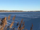 IMG 20200104 WA0011