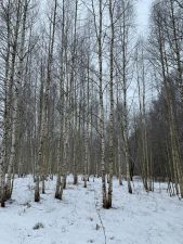 IMG 20200123 WA0018
