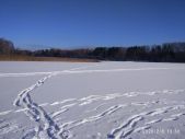 IMG 20200209 WA0009