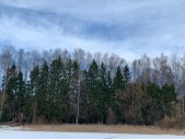 IMG 20200221 WA0002