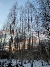 IMG 20200227 WA0016